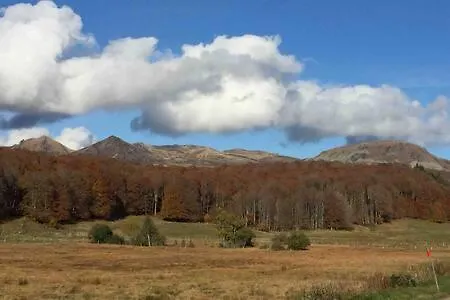 Апартаменты Magnifique Et Lumineux Au Coeur Du Sancy Сен-Нектер
