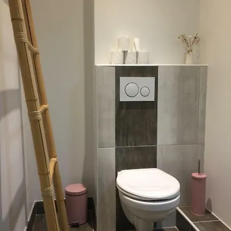 Appartement Magnifique Et Lumineux Au Cœur Du Sancy