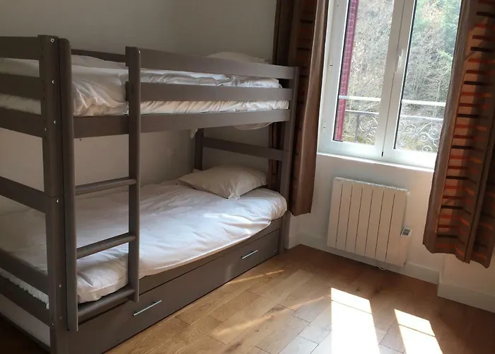 Apartment Magnifique Et Lumineux Au Coeur Du Sancy