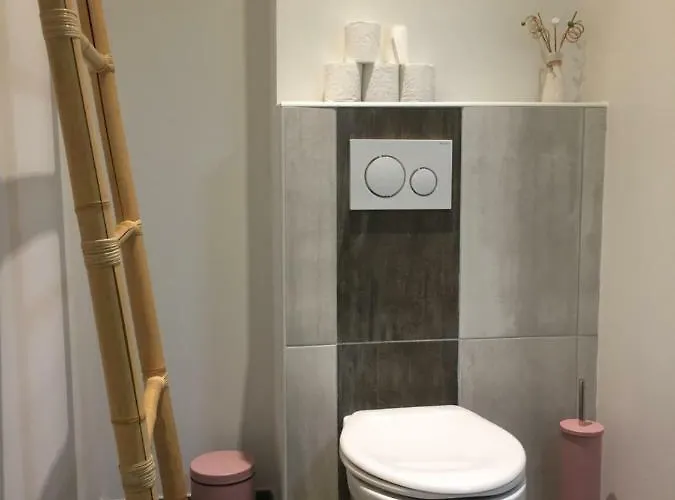 Apartment Magnifique Et Lumineux Au Coeur Du Sancy